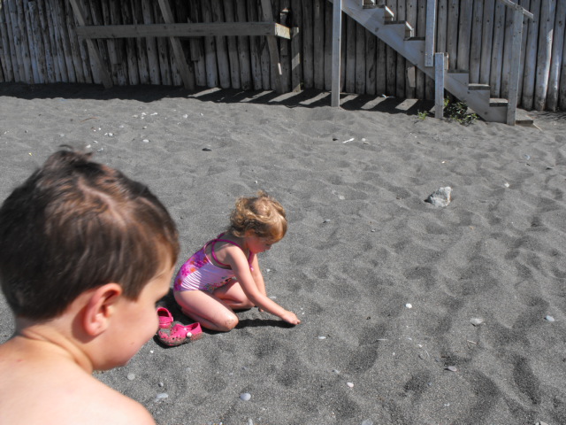 NFLD_drive_to_and-viking_settlement 253.jpg